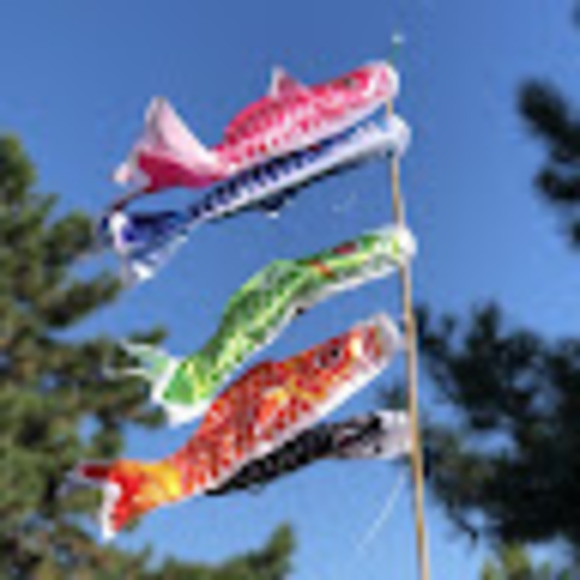 Meet your Posher, Sarah - Picture 1 of 1